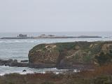 Ano Nuevo SP 002